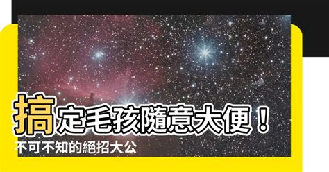 防止狗大便|誰知道讓狗不再到我家門口大便的方法？？？